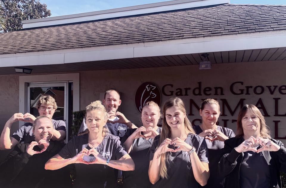 Animal Hospital in Winter Haven, FL Garden Grove Animal Hospital