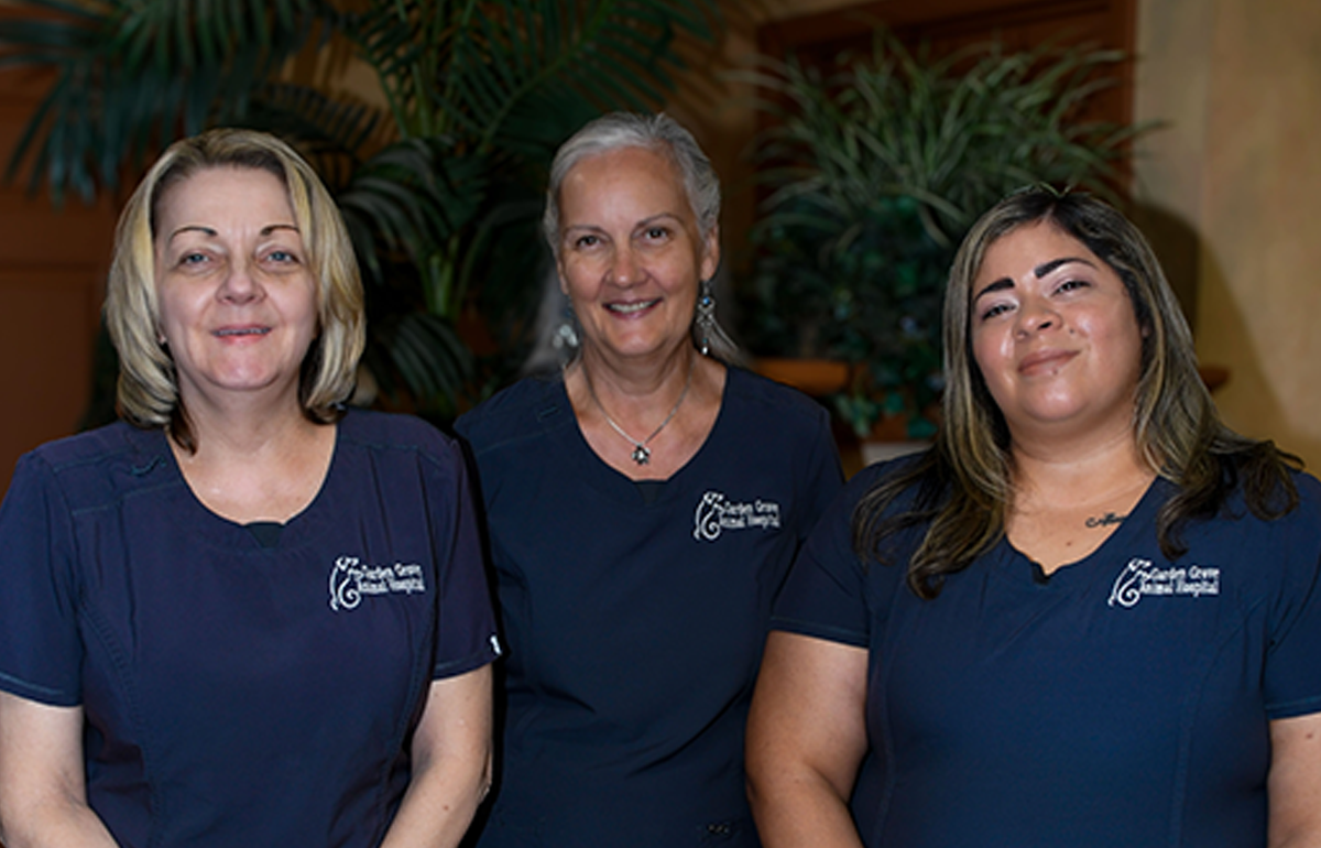 Receptionists at Garden Grove Animal Hospital