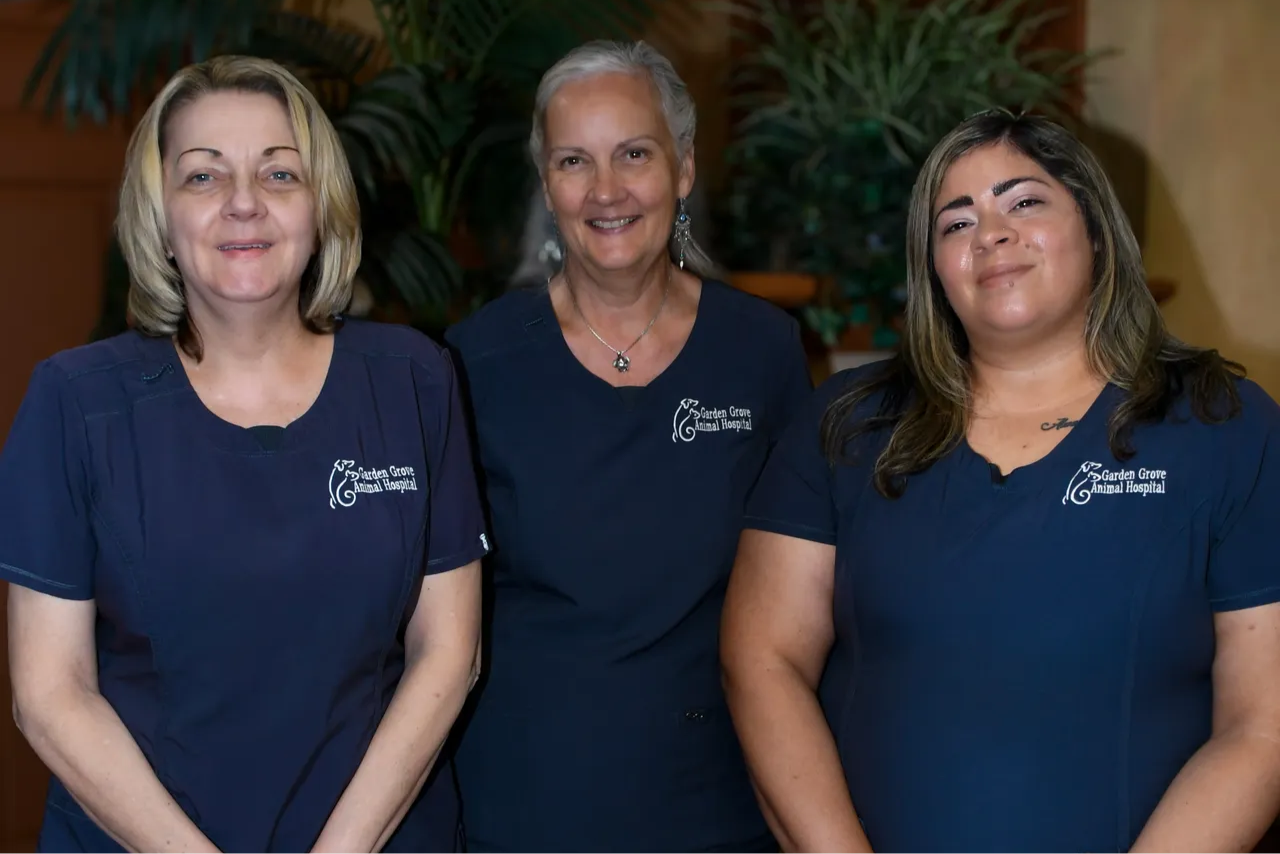 Receptionists at Garden Grove Animal Hospital